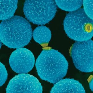 Immunomodulators-430-px-1-300x300